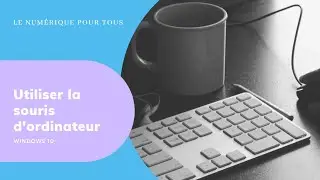 Utiliser une souris d'ordinateur + jeux d'entra&icirc;nement