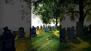 Booking now! Unique tours #paranormal #spooky #history #shortsfeed