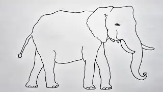 Easy Elephant Drawing Step by Step | Animal Drawing for Kids