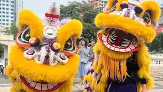 HIGH POLE LION DANCE & DRAGON DANCE PERFORMANCE BY WEN YONG TROUPE SINGAPORE FULL VIDEO