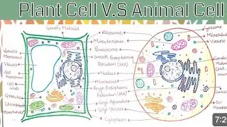 #biology Difference between plant cell and animal cell