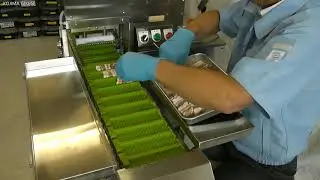 Automatic Skewering Machine 