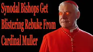 Heretic Synodal Bishops Get Blistering Rebuke From Cardinal Muller