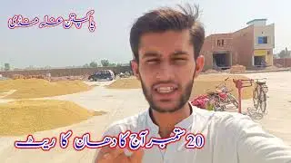 Today Galla Mandi Rates | Rice Rate today | today corn price | Gandam Rate today 