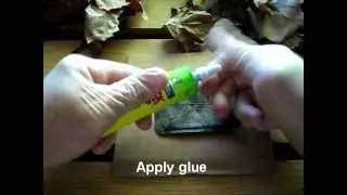 Creative Geocache Containers/Ideas: Leaf Sandwich