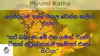 නොසිතූ මධුසමය | Sinhala short story | BOOK CAFE #sinhalakatha #love #shortstory #lovestory #stories