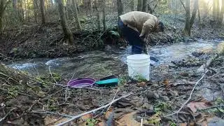 Prospecting for Gold Near the Ghost Town of Buncom