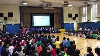 Tracey Cub Song