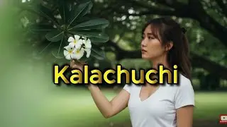 ✿ KALACHUCHI ✿  tagos sa puso hugot song para sa mga nasasaktan 😭 OPM HUGOT FEMALE HEARTBREAK BALLAD