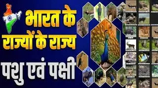 भारत के राजकीय पशु l All State Animals ll भारत के सभी राज्यों के राजकीय पशु