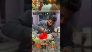 My Green squad 😍  🌿🌱🌵 #plantvibes #nature #world #shorts #viral #mahesh