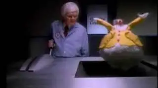 film spots pilgrims pride CHICKENS