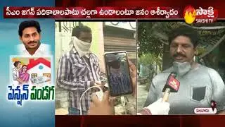 West Godavari district : Sakshi Ground report on Distribution of Pensions at Eluru - Sakshi TV
