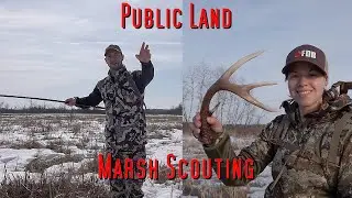 Scouting the Marsh for Deer