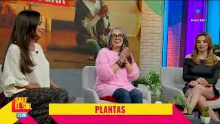 ¡Descubre los elementos con BUENAS y MALAS energías para tu HOGAR con Rut Komori I Sale el Sol