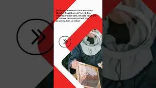 Bee Control in Adelaide | MayFair Pest Control Pty Ltd