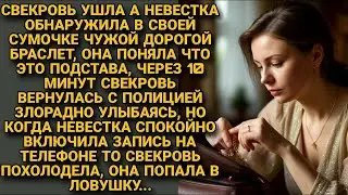 Свекровь подстроила кражу, но невестка включила запись. Ловушка захлопнулась...