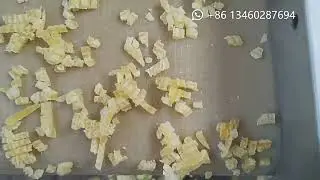 Professional Dried Fruit Cutting Machine/Preserved Fruit Cube Cutter/Dried Mango Cutter
