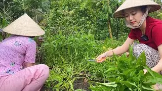 Chiều Mưa Lâm Râm Ra Vườn Cắt Mớ Rau Vô Nấu Bữa Cơm, Lần Đầu Được Ăn Vọp Nướng | NĐMT#761