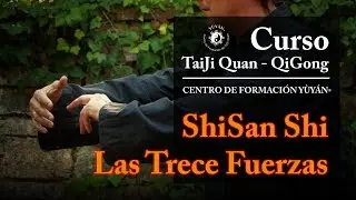 Shísān Shì 十三勢 - Las Trece Fuerzas  | Centro de Formación Yùyán® - cod.040301