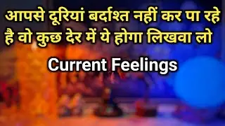 💯 CURRENT SITUATION OF YOUR PARTNER 💔 NO CONTACT | HIS/HER FEELINGS TIMELESS HINDI TAROT READING