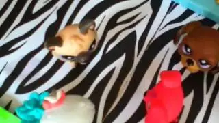 Lps Love Story Music Video