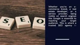 SEO Agency in Qatar: Partner with the Best SEO Company in Doha for Sustainable Digital Growth