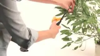 Fiskars Cuts & More 8 in 1 Scissors 9 Inch the Ultimate Garden & DIY Scissors - PTC Tools UK
