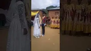 Traditional Wedding Ceremony in my Village #wedding #village #nigeria
