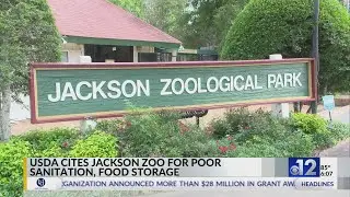 USDA cites Jackson Zoo for poor sanitation, food storage
