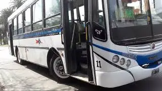 Linea 503 (Refuerzo) interno 11