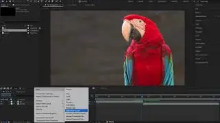 How to Create a Smooth Zoom Blur Transition in After Effects – AEJuice Tutorials
