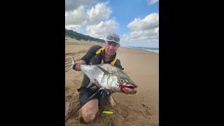 Queen Mackerel/Natal Snoek from the surf at Amanzimtoti, Durban South Africa