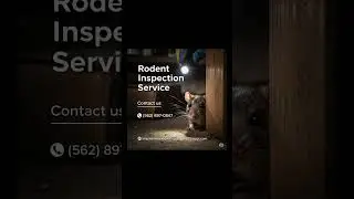 Rodent Inspection Service &ndash; Palos Verdes, Palos Verdes