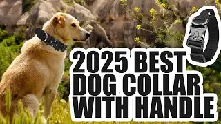 Durable Tactical Dog Collar &ndash; For Training & Safety#DogCollar#DogTraining