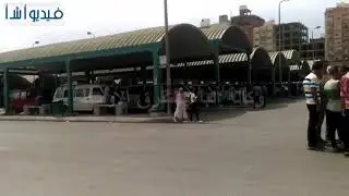 بالفيديو: انتظام العمل بمجمع مواقف دمنهور بمحافظة البحيرة