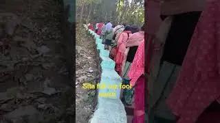 Sita fall me fool masti😅