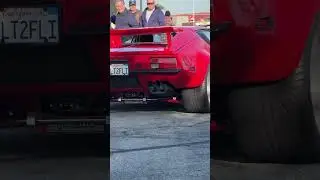 De Tomaso Pantera #DeTomasoPantera#pantera #gts#italiancars #exotic #carsandcoffee #classiccar