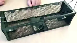 Double Ended Rat & Mouse Trap by Pestrol