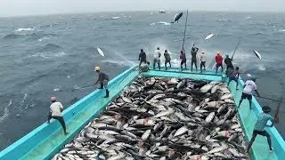 Incre&iacute;ble Habilidad De Pesca De At&uacute;n R&aacute;pido, Demasiados Peces! Captura De At&uacute;n En El Mar Grande 2018