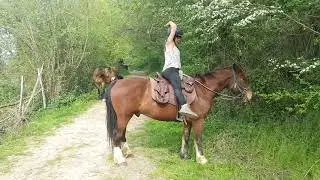 L'équilibre du cavalier : 