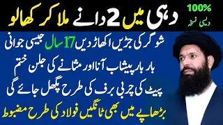 Quotes About life | Motivational Islamic Quotes | Golden Words | Rumi Quotes Urdu | Hazrat Ali 