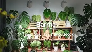 Barrina TR40c 3 x 40W LED Grow Lights 5000K | Full Spectrum, Ceiling Track & Timer | TR40c