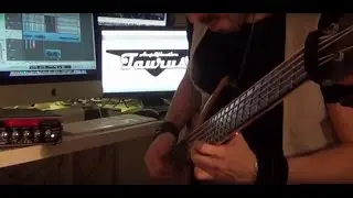 TAURUS Qube-450 & WARWICK Infinity NT 5 - [DEMO by LUIS GOMEZ]
