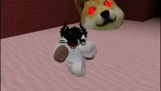 Я прошёл игру Doge Head в Roblox и спас всех котят!!!!