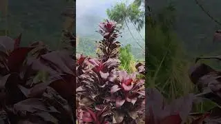 Victory Peak infanta Quezon DayTour MotoMen