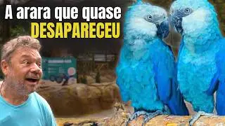 O SEGREDO ESCONDIDO NO ZOOLÓGICO! OLHA ISSO! 😱