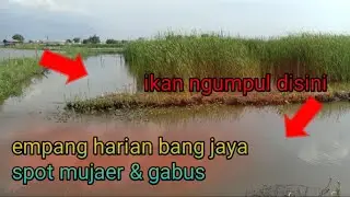 Rute Menuju Spot Harian Mujaer Empang Bang Jaya | Tiket Rp 20.000,- Salembaran Pertamina Tangerang