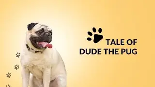 Mr. Dude the Pug: A Tale of Treats, Tricks, and Tons of Fun!