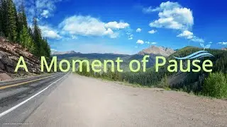 A Moment of Pause 🌿 | Soft Morning Calm ☀️ | Gentle Healing Music